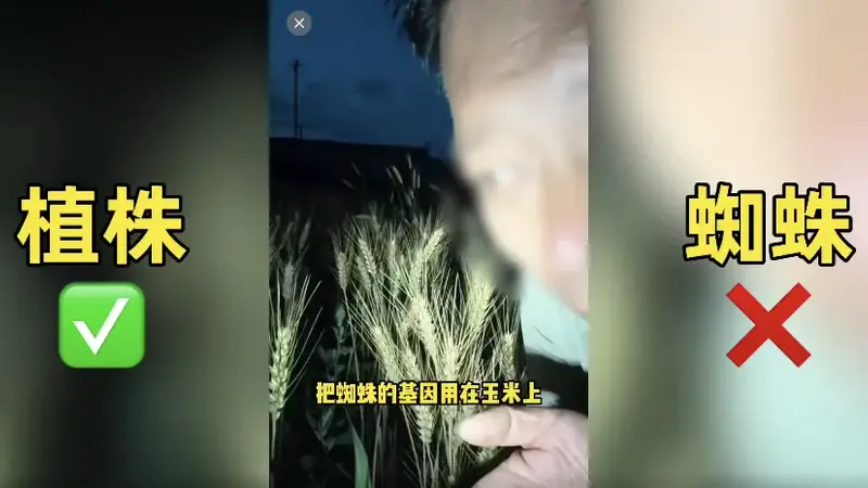 农业网红诋毁袁隆平成果,不能只封号就完事