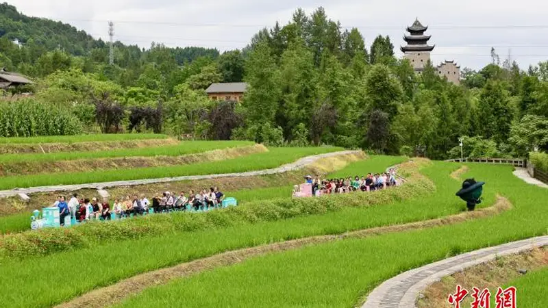 (乡村行·看振兴)耕读传家风 重庆古村以传统元素酿新变