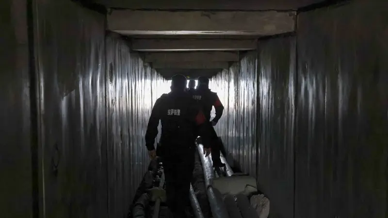 影像志·再走天路④｜万物共生：藏羚羊在桥下乘凉躲雨