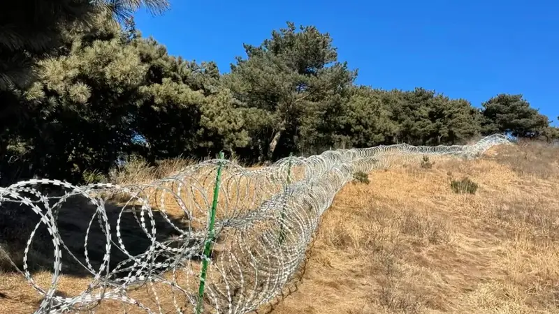 热搜第一！泰山建“刀片隔离网”引争议