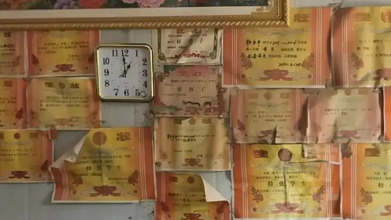 河南高考699分女孩，被假冒开号