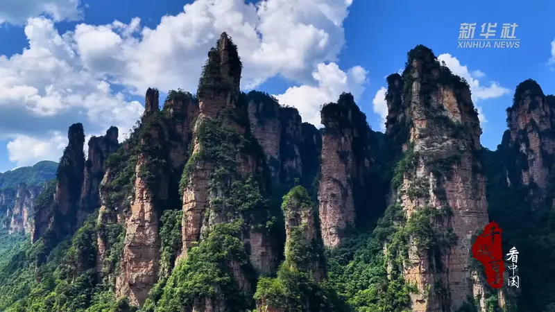 金鞭溪畔享清凉:张家界国家森林公园夏日避暑正当时