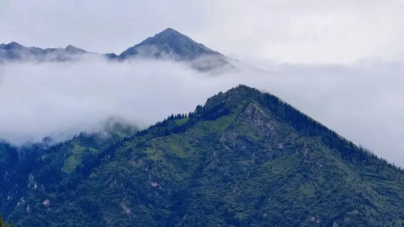 三伏天遇上暑假 避暑旅游热“玩”清凉