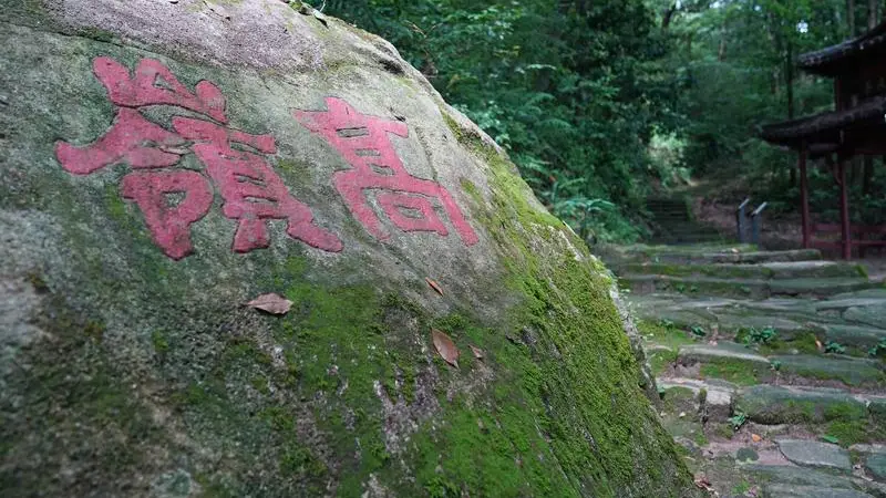 景德镇制瓷技艺寻踪 高岭土运抵东埠码头元青花外销路可考