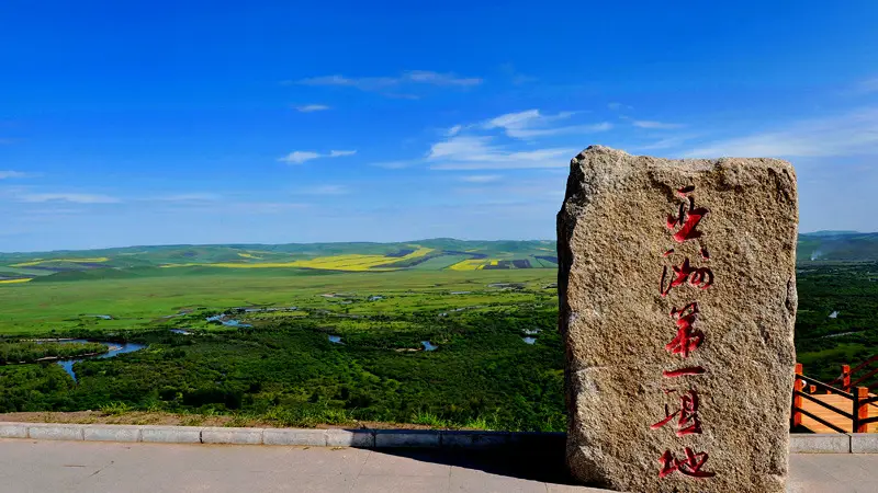 夏日去天然空调房，带娃驰骋呼伦贝尔大草原发现答案