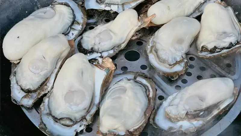 开海后的钦州,不止有海鲜!
