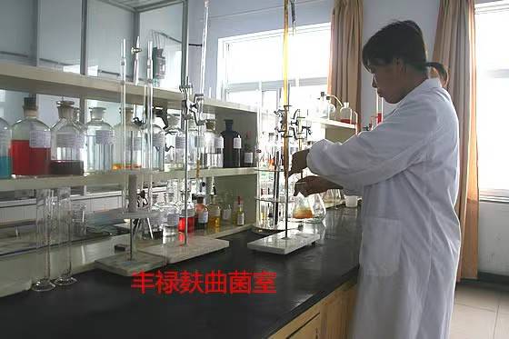 哈尔滨清香酒曲在行业中的应用价值分析