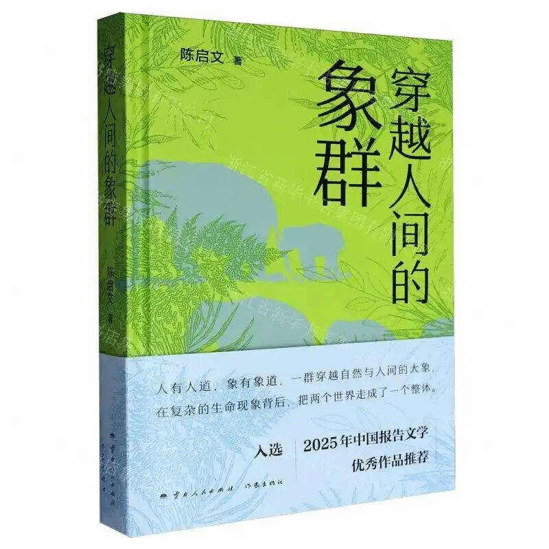 历史性突破！东莞作家陈启文《穿越人间的象群》获鲁迅文学奖
