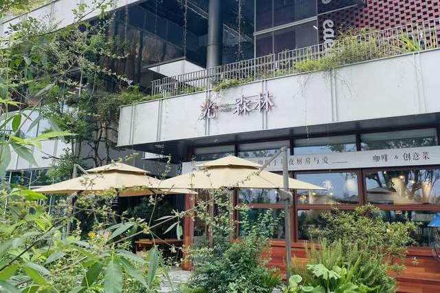 长沙夏日逃离城市酷暑，松雅湖森林咖啡馆攻略！