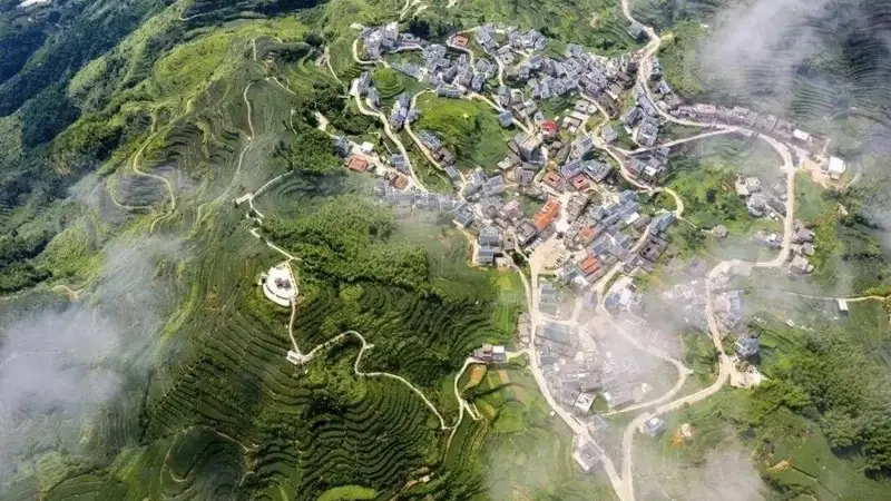 厦门千米高山秘境：28℃清凉避暑胜地成“香饽饽”