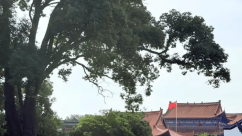 枝江郊野闲逛，江湾沿线体验江畔闲情