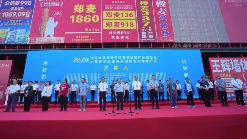 许为钢:聚焦大宗主食品质升级 把脉小麦品种改良方向