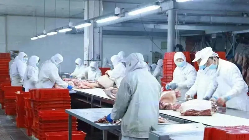 潍坊猪肉首次出口非洲 海外市场再添新版图