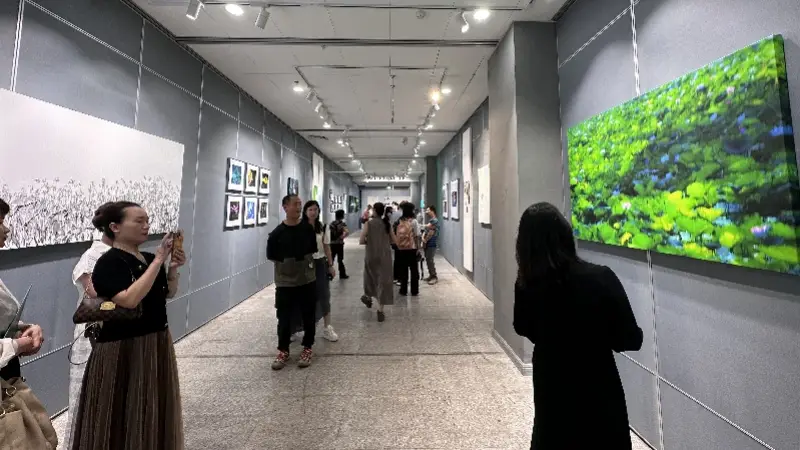 揽四时荷韵!来中山纪念图书馆赴一场荷塘雅课