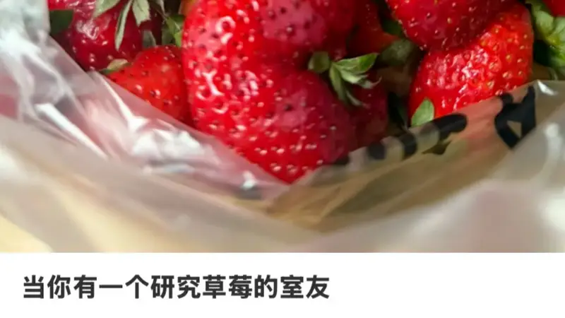 ：农学生们的毕业论文：从追羊到丰收，草莓甜了椰子甜了