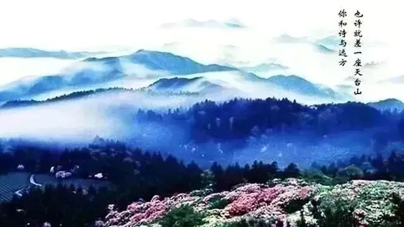 天台留白馆：03年姑娘返乡开的治愈茶馆，品味天台本味