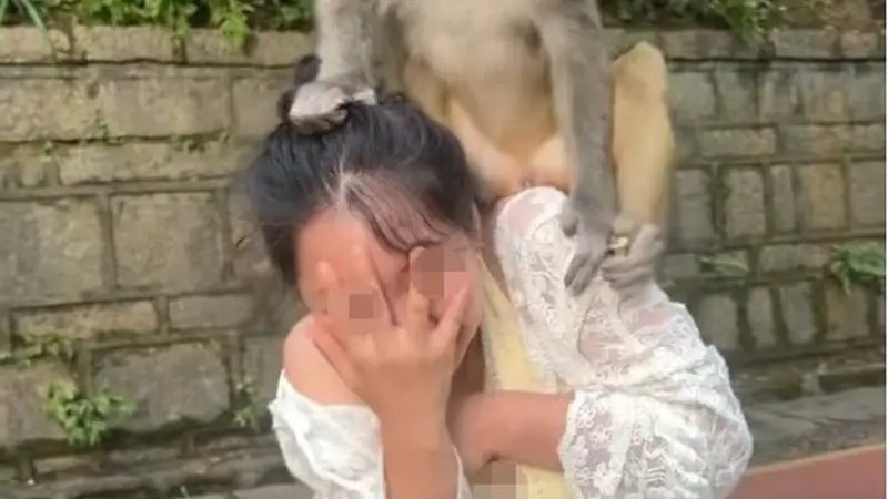 贵阳黔灵山一只猴子骑在女子头上蹦蹦跳跳,女子直呼“自己有点招架不住了”