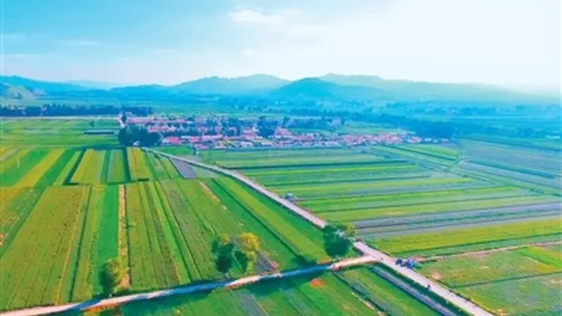 循着药香去旅游