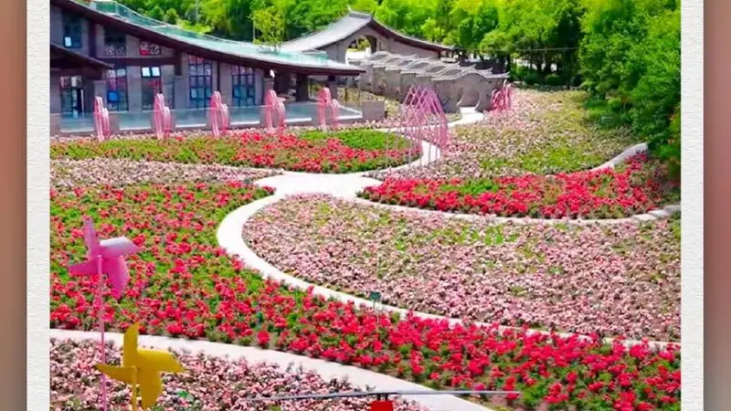在光禄玫瑰古镇,“花”点时间丨有一种叫云南的生活之365天