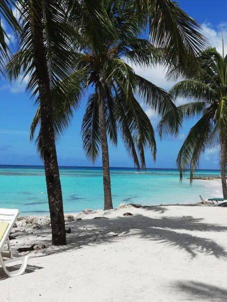 【嗨游暑期】踏浪宿务薄荷岛，深蓝大海诉说心动